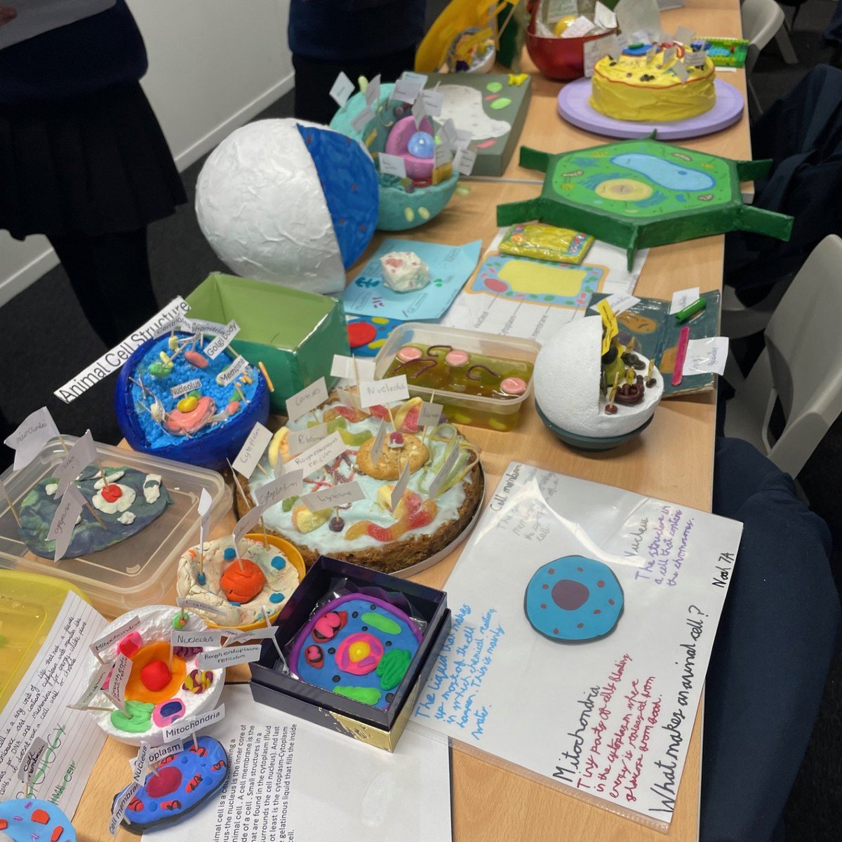 GreatParkAcade1's tweet image. 🌟 Year 7 has truly outdone themselves with some amazing model cells for Miss Riddiough! Incredible creativity and effort on display! #Y7Science #CreateYourFuture 🧬✨