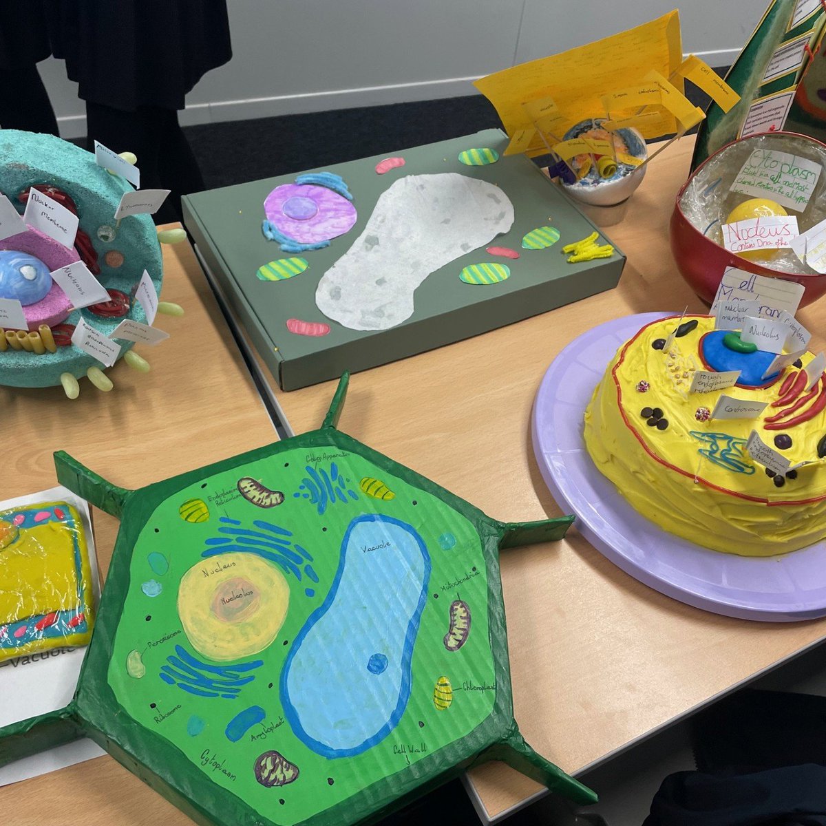 GreatParkAcade1's tweet image. 🌟 Year 7 has truly outdone themselves with some amazing model cells for Miss Riddiough! Incredible creativity and effort on display! #Y7Science #CreateYourFuture 🧬✨