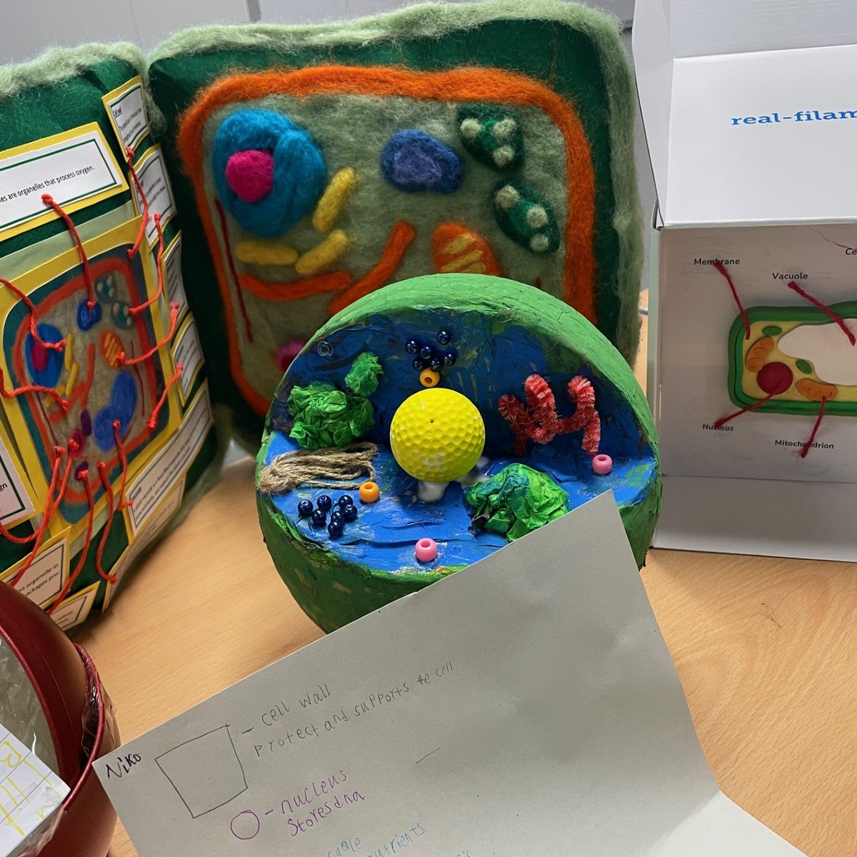 GreatParkAcade1's tweet image. 🌟 Year 7 has truly outdone themselves with some amazing model cells for Miss Riddiough! Incredible creativity and effort on display! #Y7Science #CreateYourFuture 🧬✨