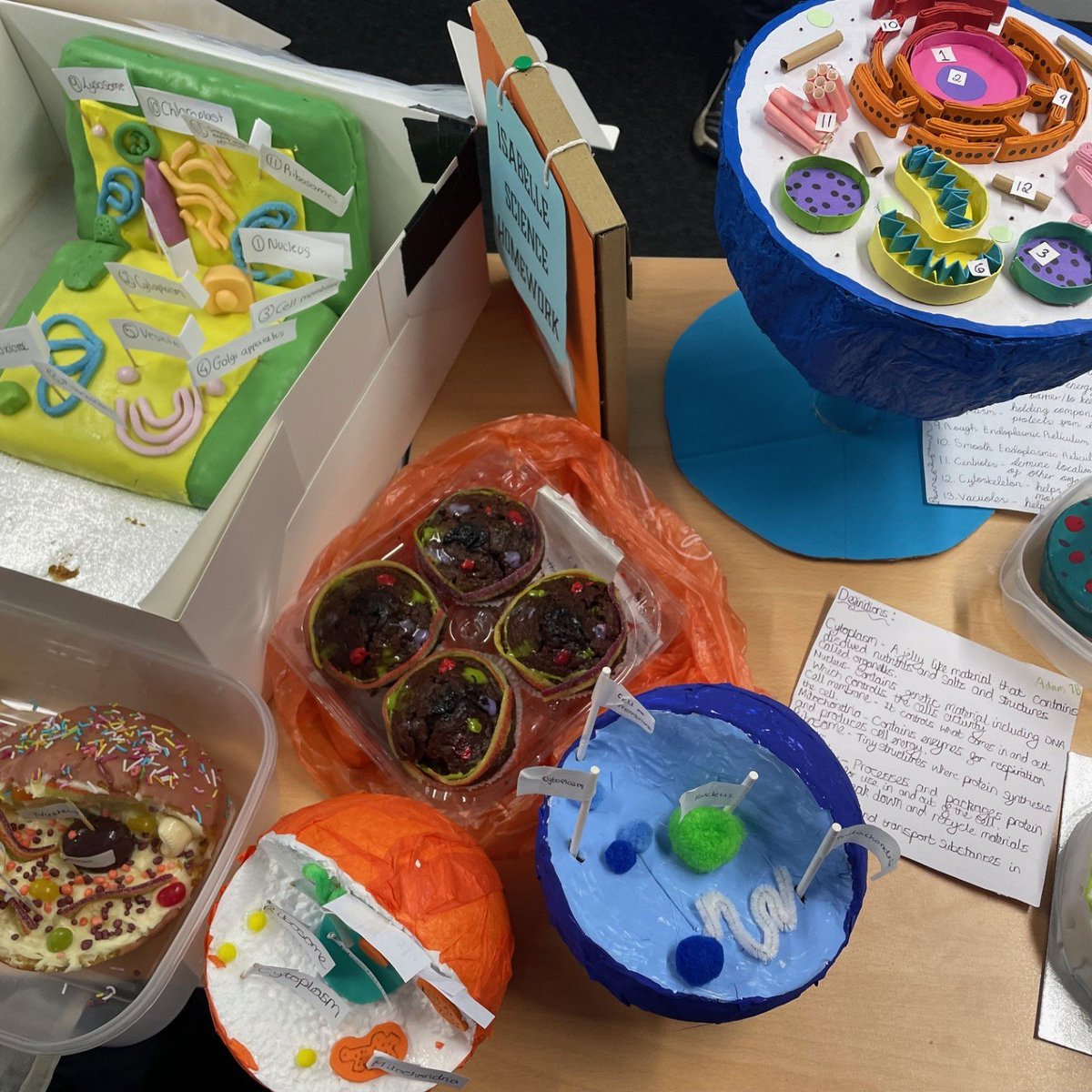GreatParkAcade1's tweet image. 🌟 Year 7 has truly outdone themselves with some amazing model cells for Miss Riddiough! Incredible creativity and effort on display! #Y7Science #CreateYourFuture 🧬✨