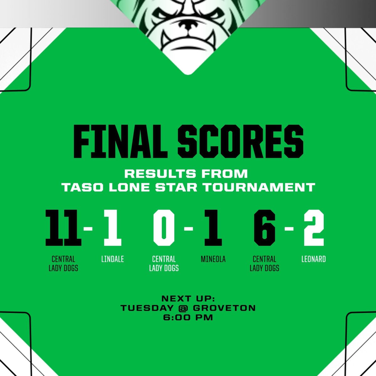 Central Softball tweet media