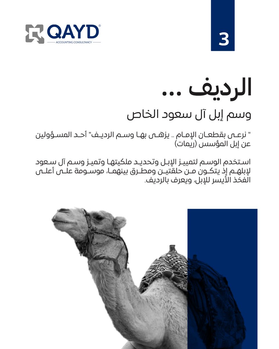 من ميادين المعارك إلى ساحات النصر والسلام، أصبحت العرضة رمزا خالدًا في مسيرة المؤسس - طيب الله ثراه -

برزت في نجد وتجسدت كإرث وطني نعتز به، يعبّر عن هويتنا وتاريخنا العريق.

صوت العرضة هو صدى لأمجاد مضت وفخر نحمله من عهد الملك عبد العزيز "أبو تركي" إلى عهد الملك سلمان حفظه الله.