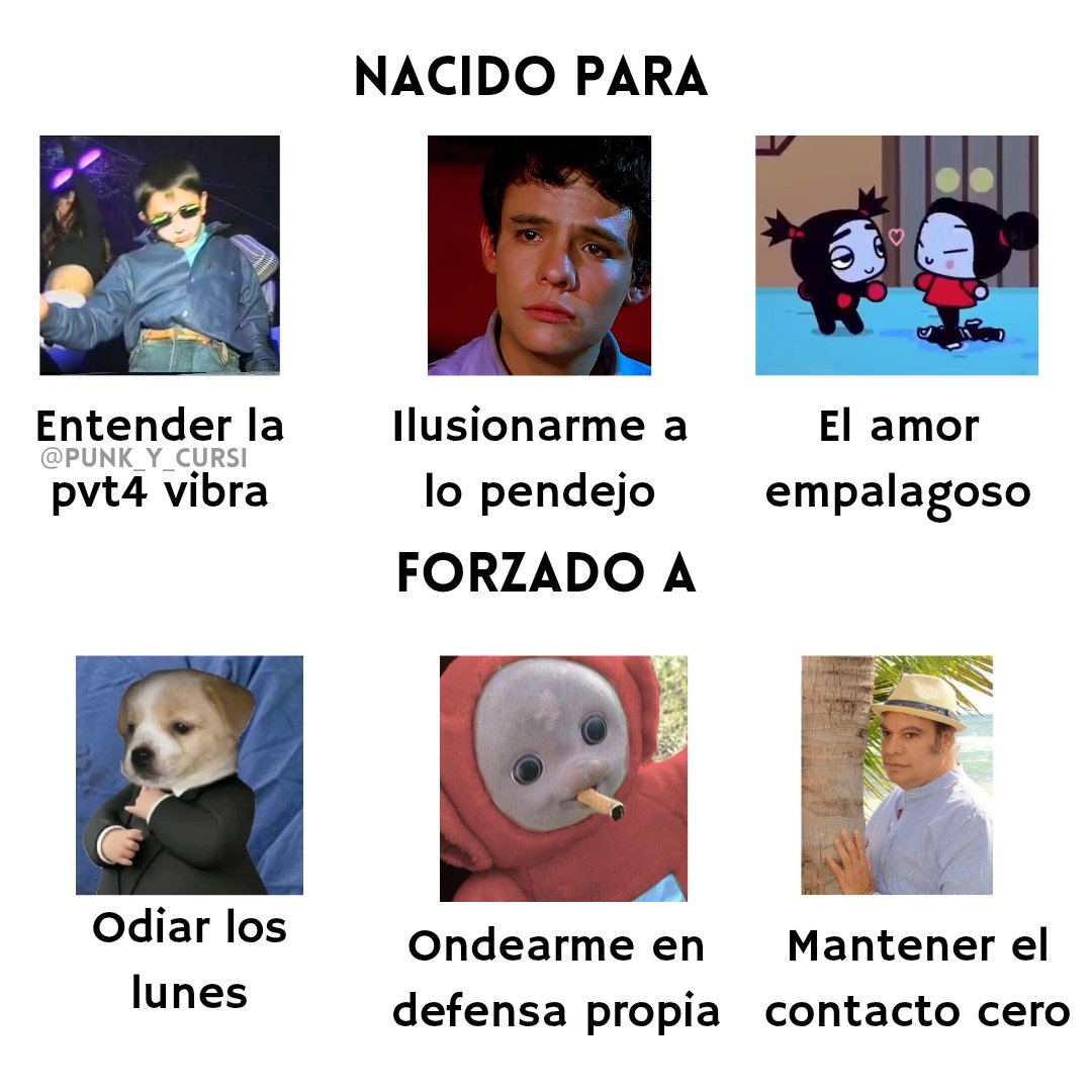 punk_y_cursi's tweet image. ✨✨✨✨