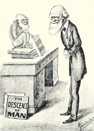 FossilHistory's tweet image. Charles Darwin published his book Descent of Man #OnThisDay in 1871. In it he wrote: "It has often been asserted that man’s origin can never be known, but ignorance more frequently begets confidence than does knowledge."