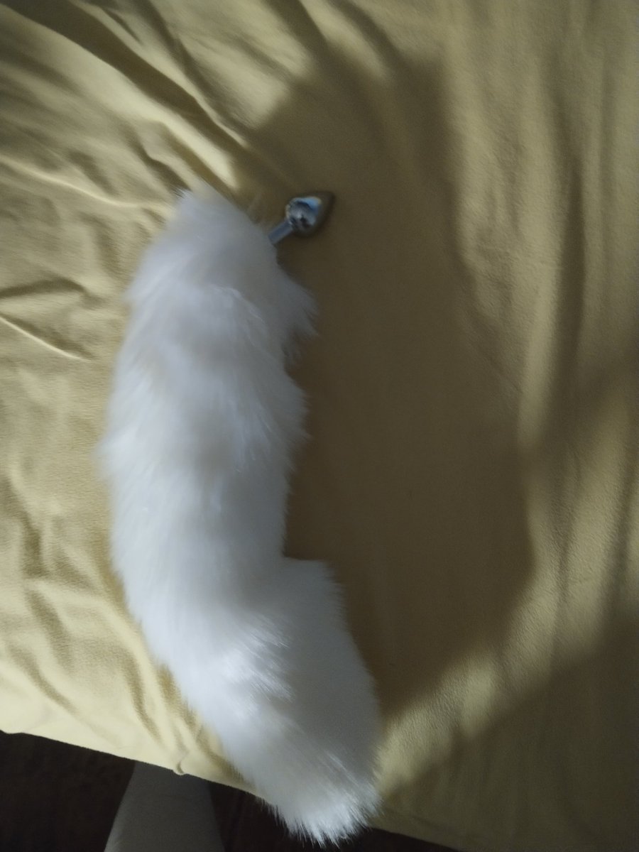 尾巴
