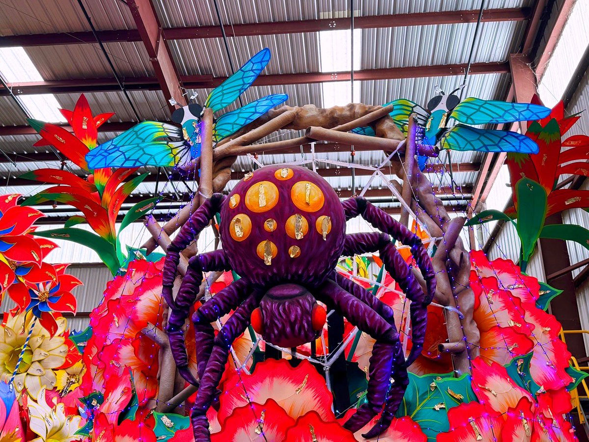 DavidMora's tweet photo. Lagniappe - Additional images form @KreweofOrpheus’ Open House this past Saturday! 💜💛💚 https://t.co/Jq4TuTrpG3