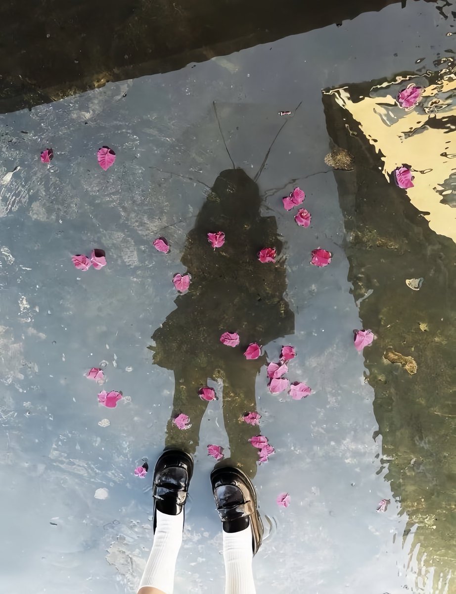 thingsofbeau's tweet image. 