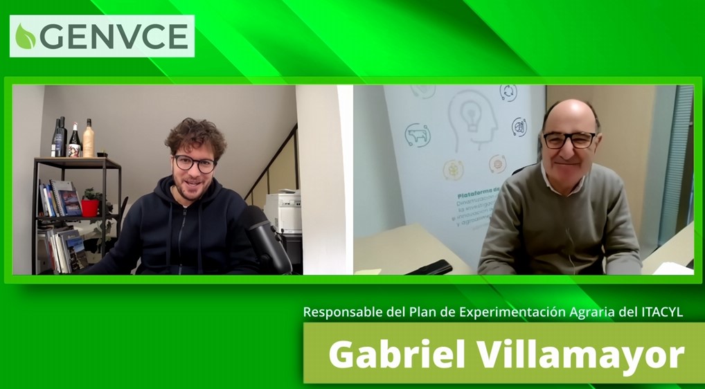 🌻 ¿Quieres empezar a trabajar con el 𝐠𝐢𝐫𝐚𝐬𝐨𝐥? Descubre sus características en la entrevista que hemos realizado a 𝐆𝐚𝐛𝐫𝐢𝐞𝐥 𝐕𝐢𝐥𝐥𝐚𝐦𝐚𝐲𝐨𝐫, responsable del Plan de Experimentación Agraria <a href="/ITACYL/">Innovación agroalimentaria - JCyL</a>!
🔗acortar.link/rC2oZy
<a href="/red_arax/">RedArax</a> <a href="/ChemaParaled/">Chema Paraled</a>