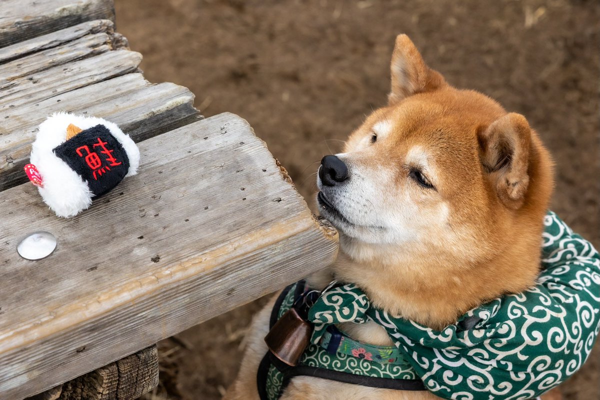 それボクのじゃないですか？
