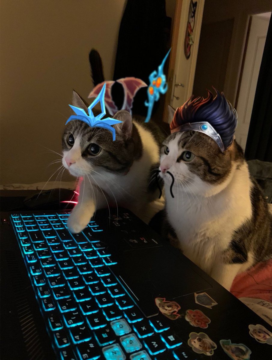 ella__lol's tweet photo. https://t.co/2gu3swYO83