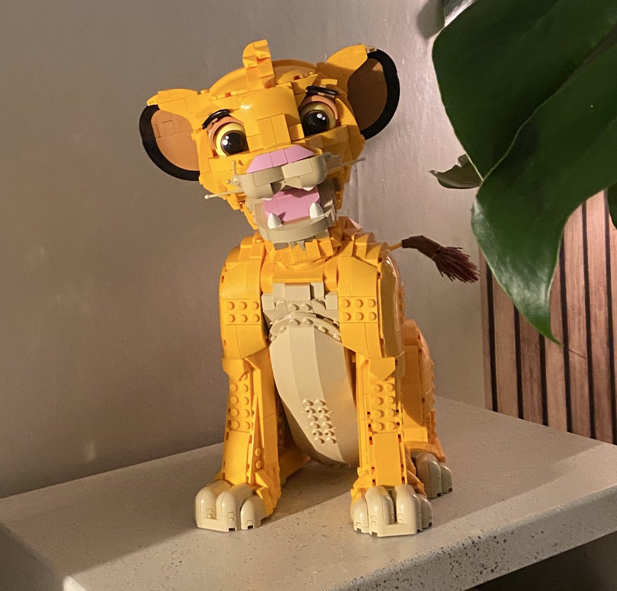 Hakuna Matata 🦁