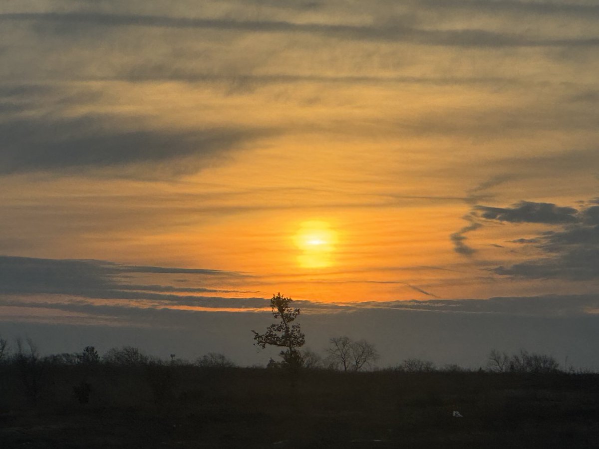 Good morning friends 🌤️