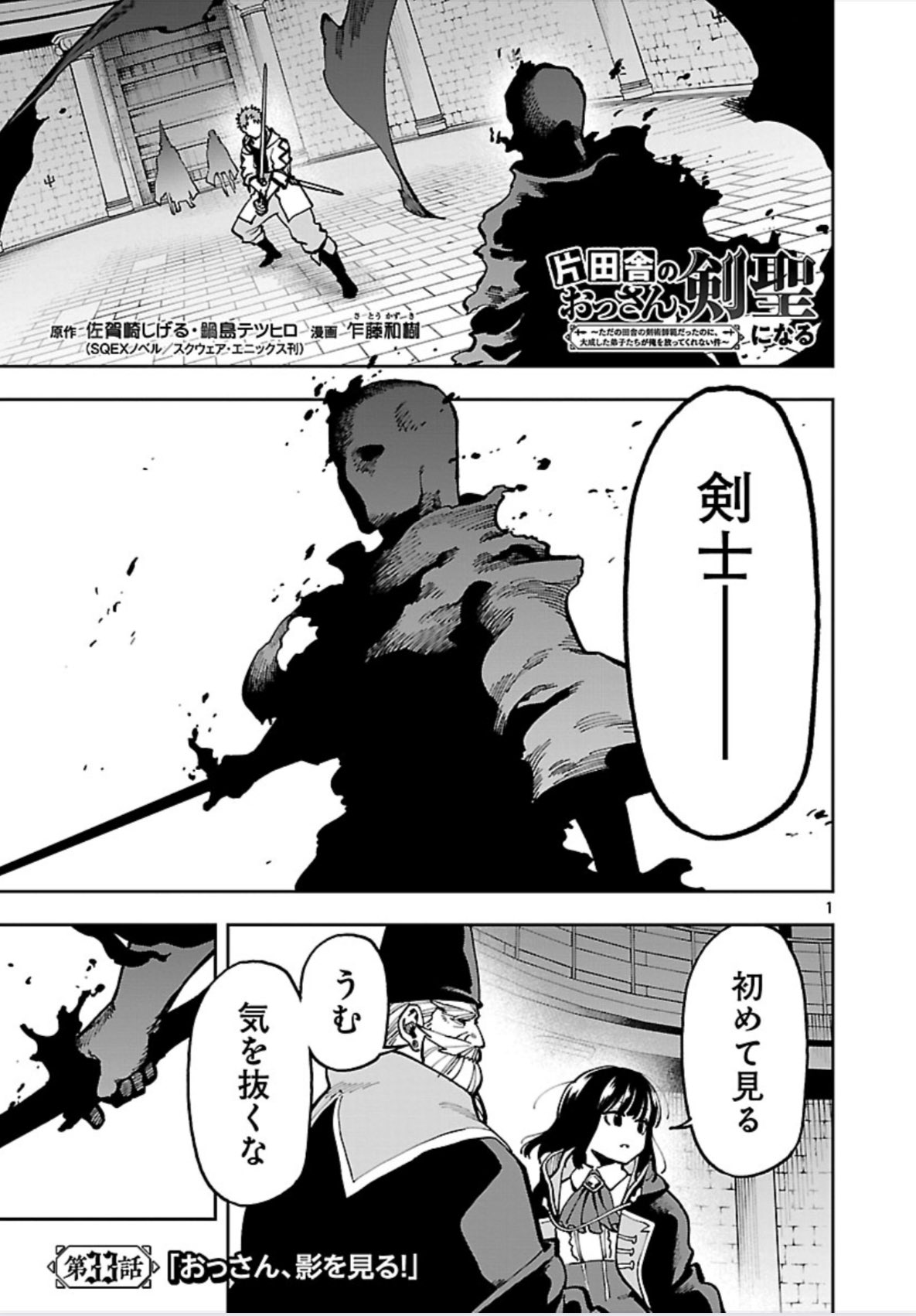 片田舎のおっさん、剣聖になる ～ただの田舎の剣術師範 全巻