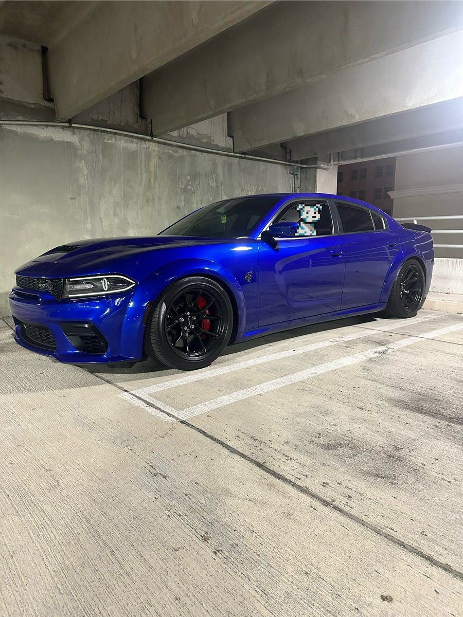 Motivational Purposes 🚨

Just a dog with his cat 💎

#redeye #hellcat