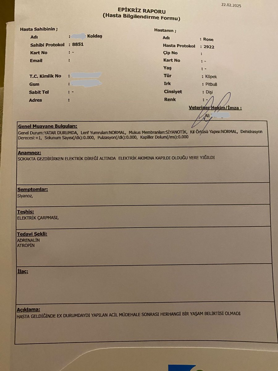 SORUMLUSUNUZ AMA SORUMSUZSUNUZ BENİM KIZIM İHMAL YÜZÜNDEN ÖLDÜ!! 

<a href="/ayedasdestek/">Ayedaş Destek</a> <a href="/TCEnerji/">T.C. Enerji ve Tabii Kaynaklar Bakanlığı</a> <a href="/fatih_donmez/">Fatih Dönmez</a> <a href="/tedaselectricas/">Tedaş ⚡</a> <a href="/SabanciHolding/">Sabancı Holding</a>