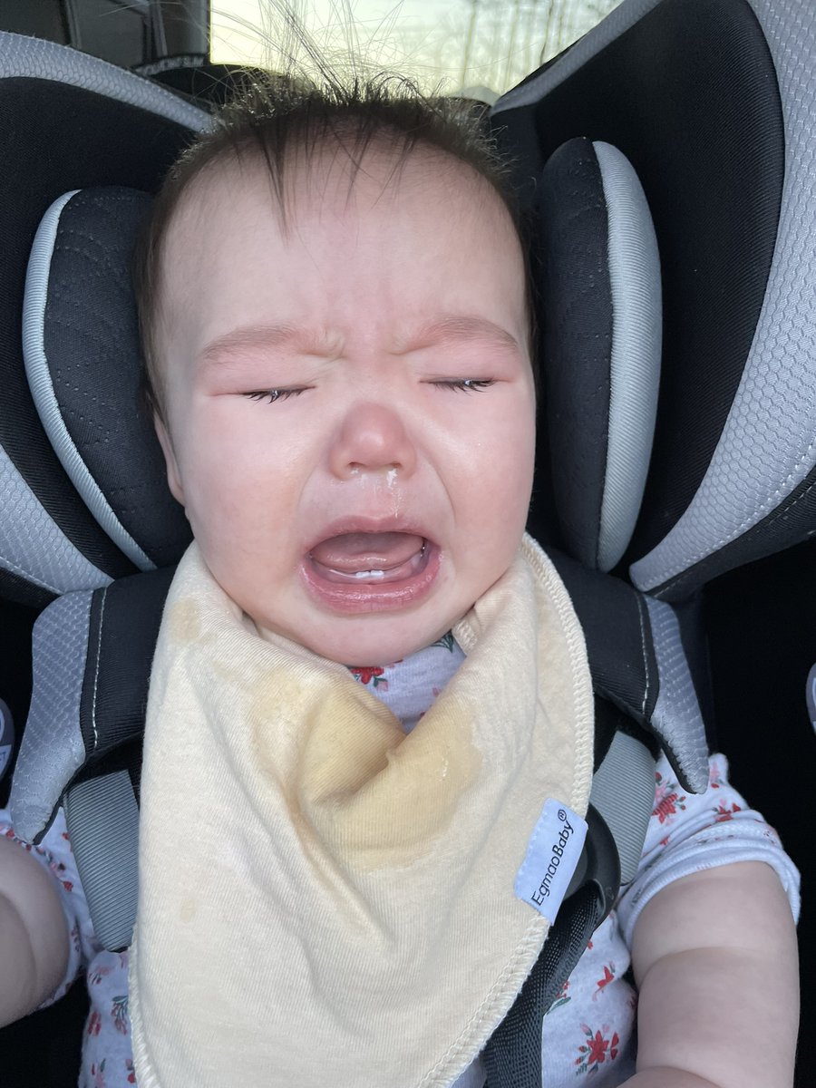 CommonwealthIn5's tweet image. Not Monday again.