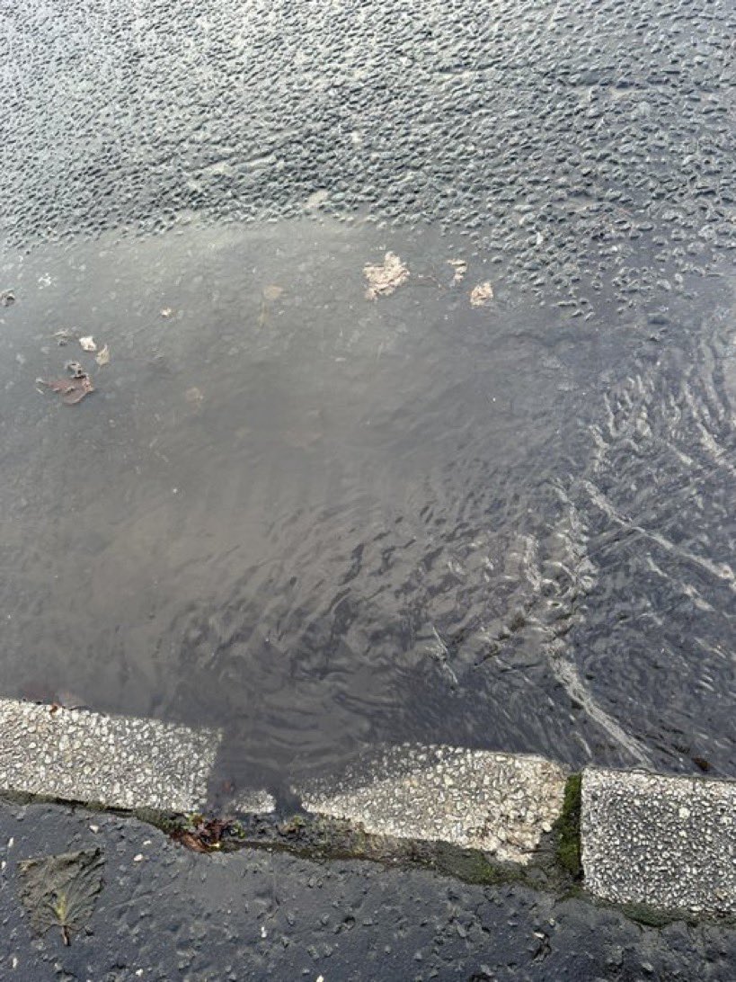 EastEndJamie's tweet photo. Drains blocked. Reported various times since dec 23. No change still blocked. @GlasgowCC @MyGlasgowCC @scotgov https://t.co/8wMOK4IrWq