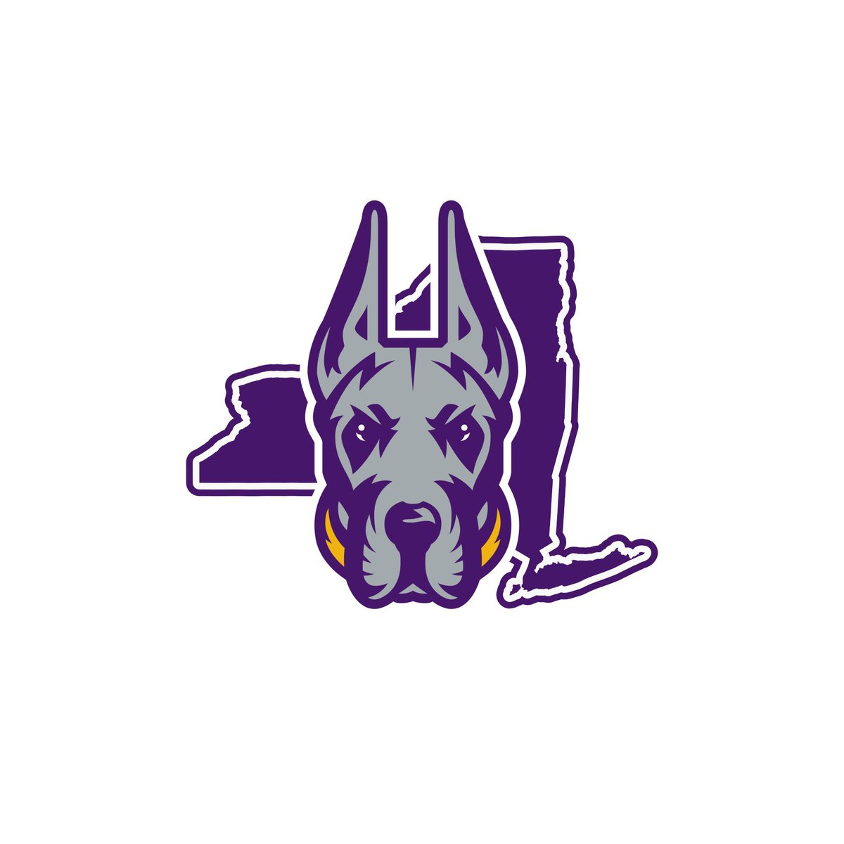 In 2023, we started a project of putting NCAA football team logos over state outlines, because we noticed that Texas teams do this all the time.        

We took a break during the season, but we're starting back up again.      

Next up, New York. 1/8