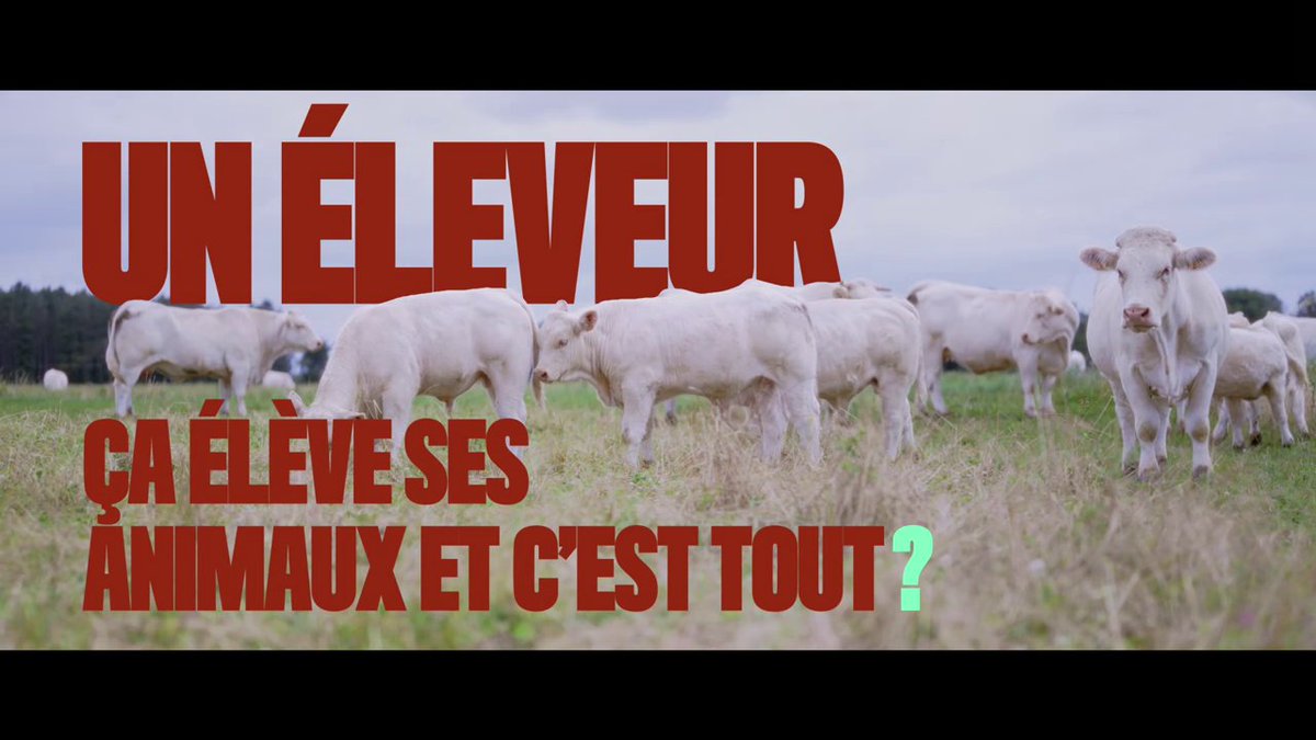 Aujourd'hui, on entend tout et son contraire sur l'élevage...  Alors qui mieux que les éleveurs et ceux qui les entourent pour faire le point et répondre à nos questions.

INTERBEV s’associe à la CNE, au CNIEL et à l’ANICAP pour soutenir le nouveau programme de TF1 sur l’élevage
