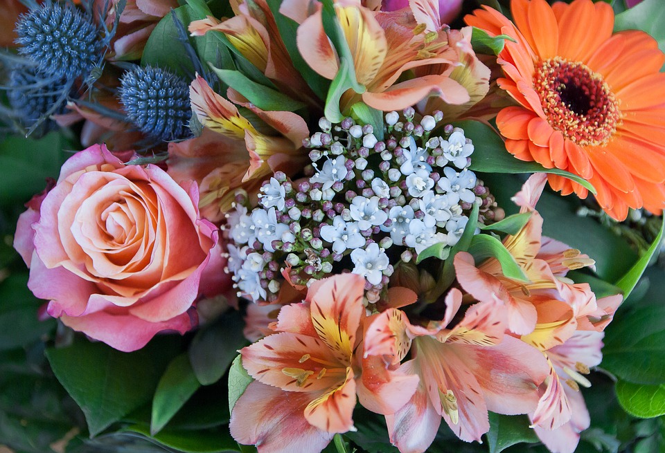 Make stunning bouquets using seasonal flowers and materials to enjoy at home or to enhance your professional skills, on a short course starting on Monday 3 March in central Lewisham.

Find out more about our floristry courses at: tinyurl.com/mrwtprn6