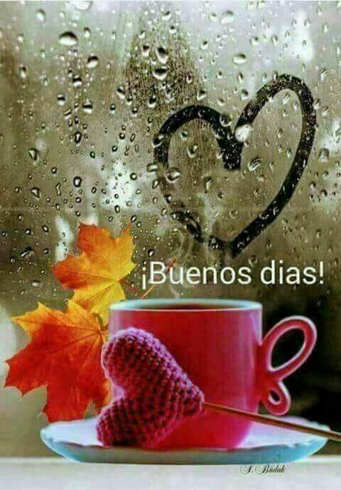 EsoEsLoQueHay_'s tweet photo. Buenos días 😘 https://t.co/KXgAasNtEM