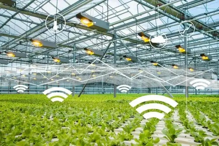 fatihpakdamar's tweet photo. Duyuru !
Tam kontrollü seraya (greenhouse)
Ortak Oluruz,
İşletme devir alırız,
İşletmeci ortak oluruz,
Pazarlamasına talip oluruz,
Fikir alırız, fikir veririz...
Yeter ki modern bir şeyler yapmak istensin !
#greenhouse #sera #fullcontrolled #tamkontrol https://t.co/eU5HwzrWjc