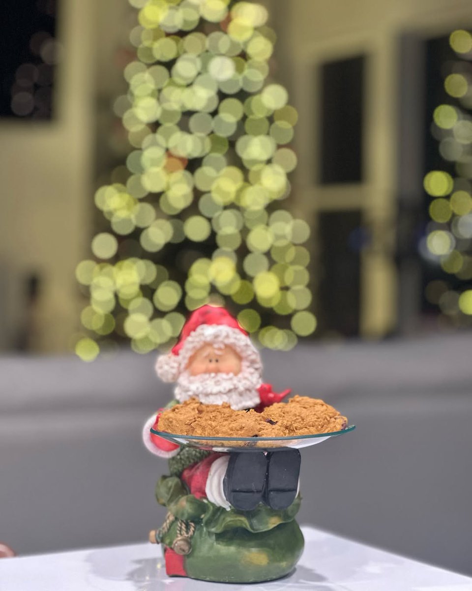 Christmas magic is in full swing at my house! 🎄 The tree is trimmed, the lights are twinkling, and the decorations are bringing all the festive vibes. 🍪 The cookies are baked (okay, we may have already taste-tested a few), and the Christmas cards are officially ready to go! 🎅