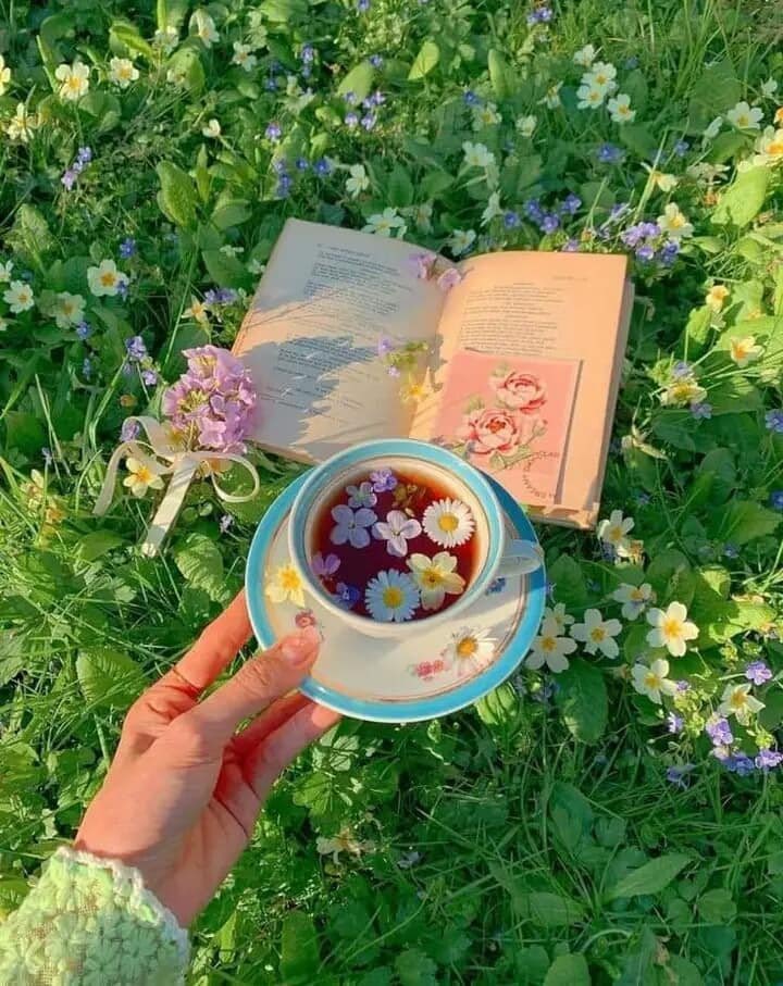 greenvibe's tweet image. 