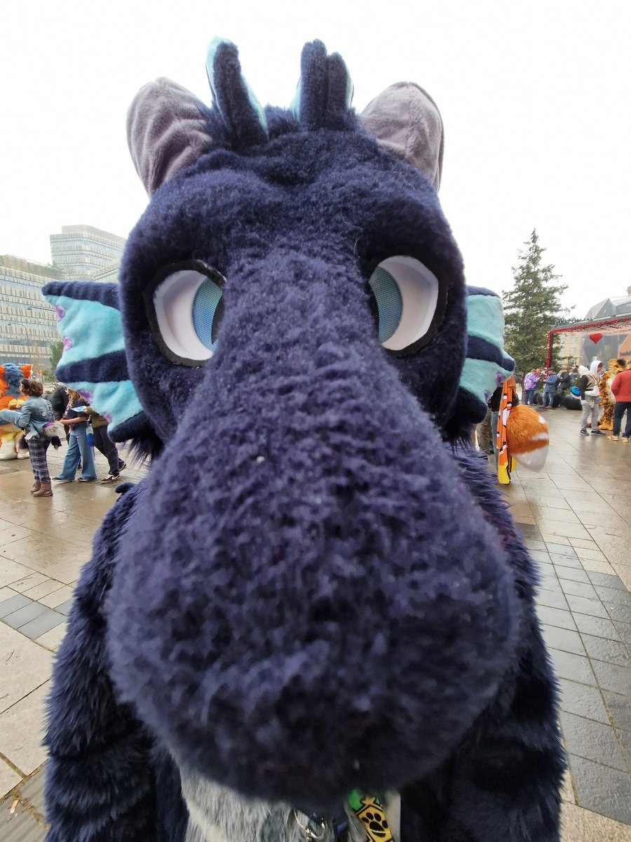 LexyDeeDragon's tweet image. I had an amazing time at #NFC especially since I told no one that I was coming! Reactions were priceless. 

So many white and blue dragons too, I'm in love 💙