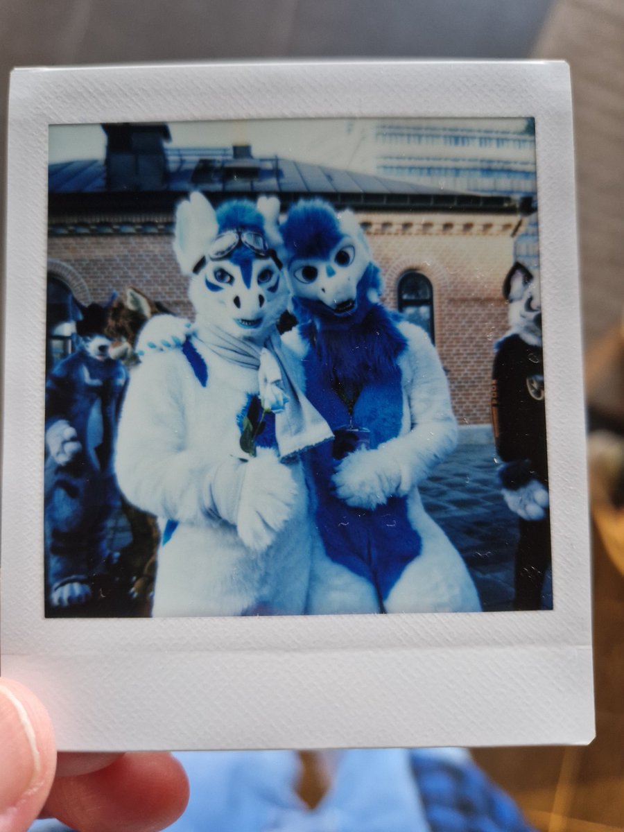 LexyDeeDragon's tweet image. I had an amazing time at #NFC especially since I told no one that I was coming! Reactions were priceless. 

So many white and blue dragons too, I'm in love 💙