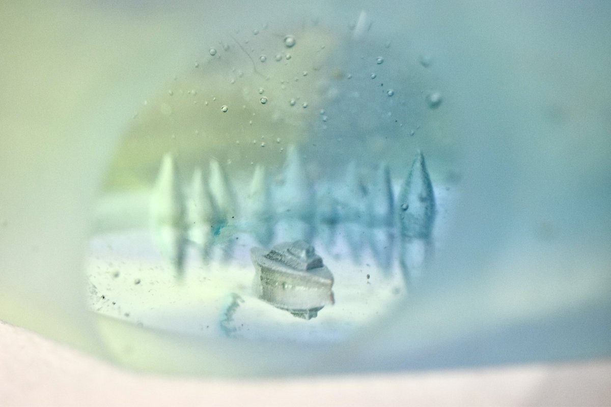 okinakaayaka's tweet photo. -reflect-

#ガラス　#glass https://t.co/ZsLXPi39X8