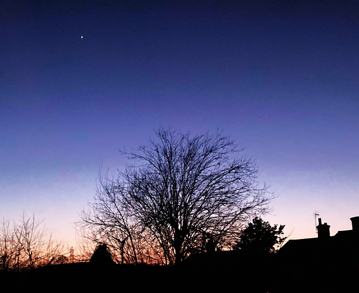 A lovely dusk view with Venus shining brightly. Wishing you all a peaceful night. Sleep well  everyone. 🤗🕊️✨🥰