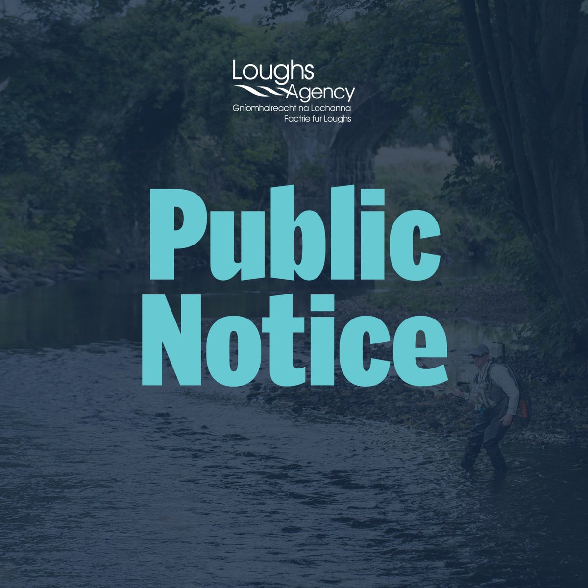 STATEMENT:

Loughs Agency is investigating a significant fish kill incident on a tributary of the Camowen River.

➡️ loom.ly/z64sqy4