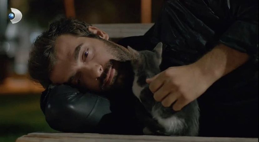 Uykuyu çok sevip uyuyamamak..
#Poyrazkarayel