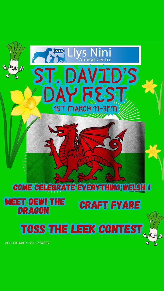 LlysNini's tweet image. 