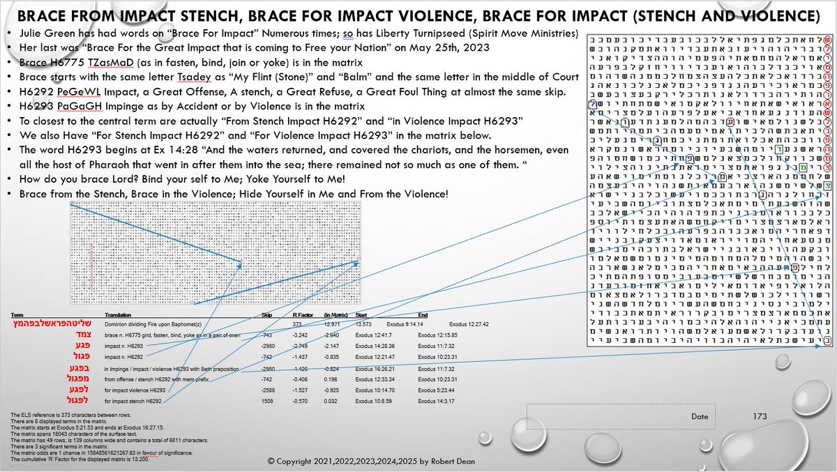 r_dean3's tweet photo. @hottamali02 @elonmusk Two prophet's had a word on "Brace for Impact!" Impact from the Stench and Violence. It's also encoded in the Book of Exodus in the Dominion Bible Code #DominionBibleCode https://t.co/7EufNmI5uk