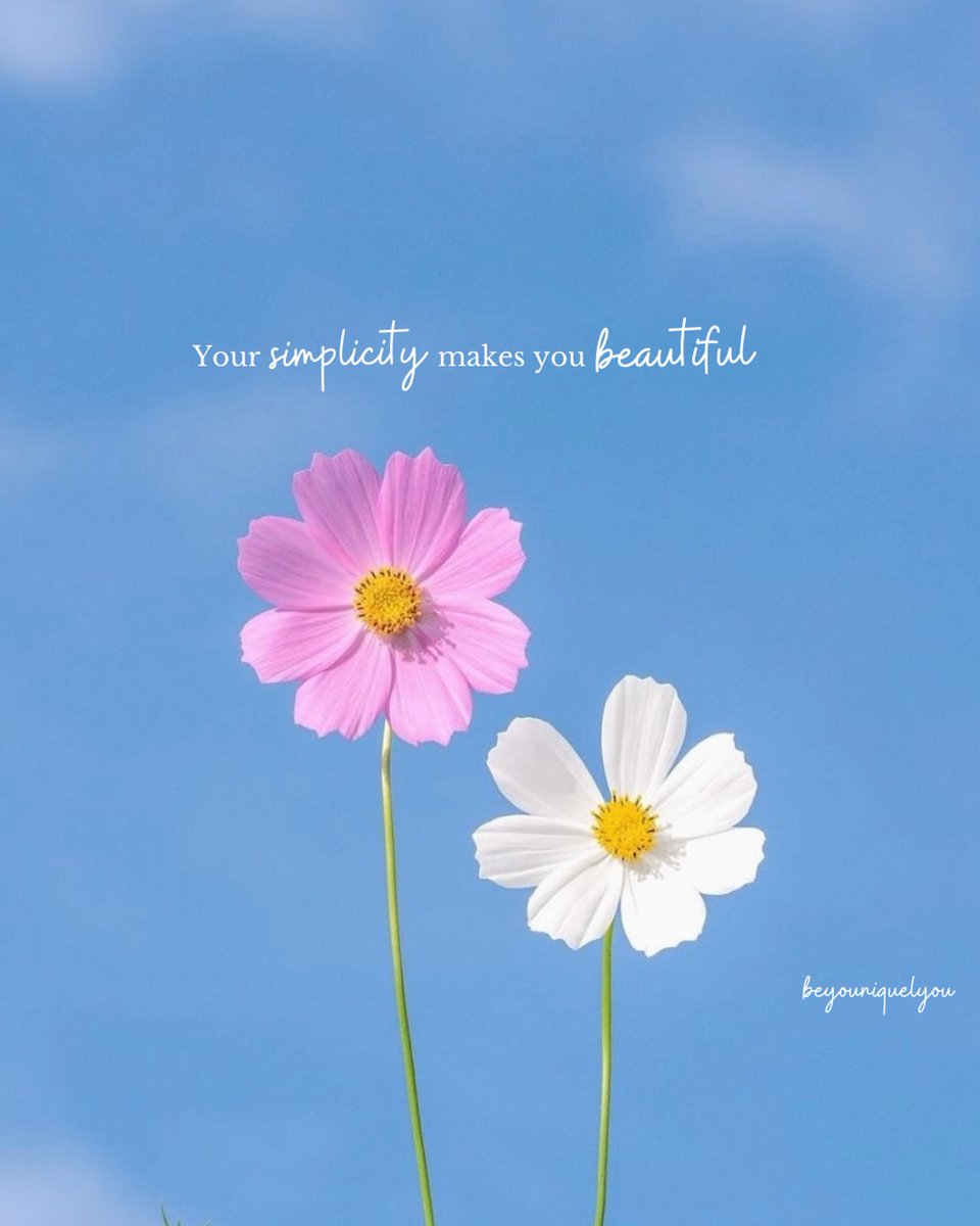 Mind Essentials (@mind_essentials) on Twitter photo 
