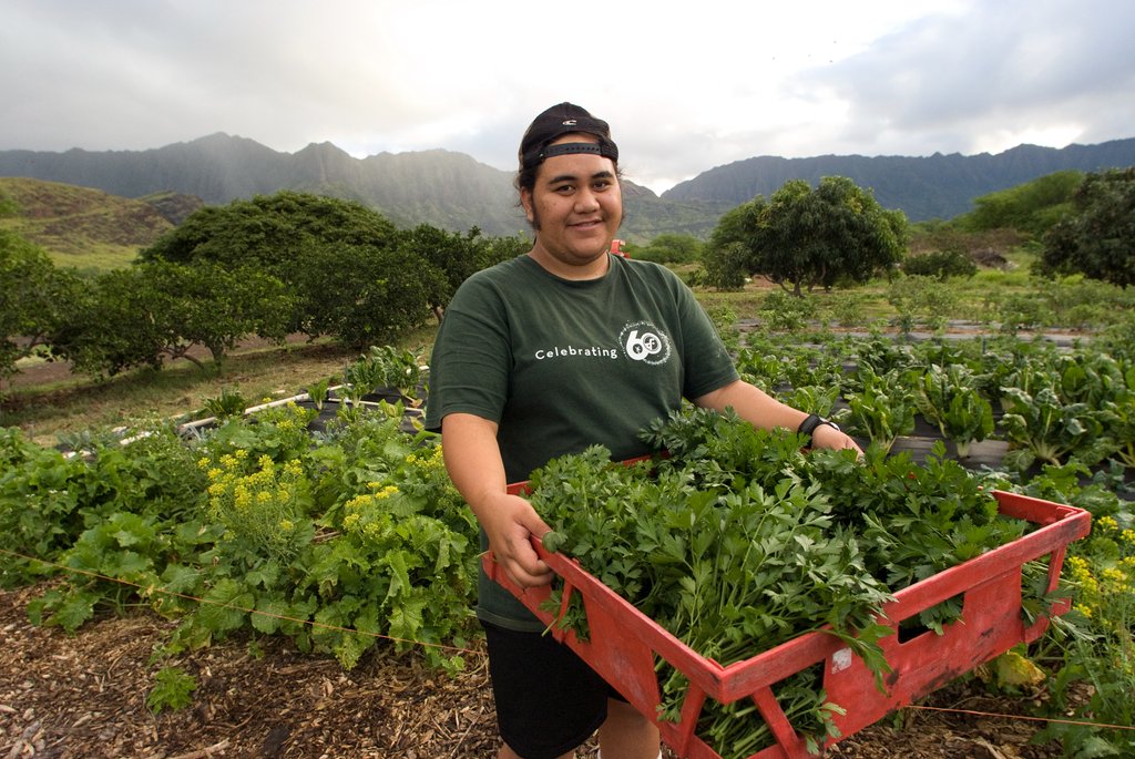 Ulupono Initiative tweet media