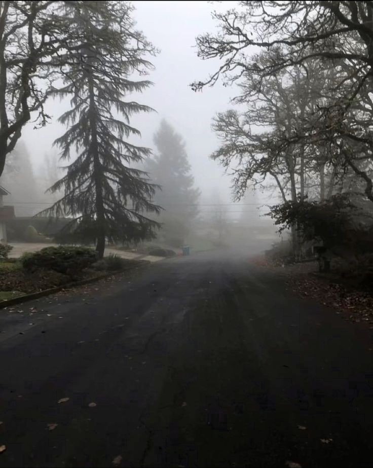 elemmiressoul's tweet photo. foggy. https://t.co/OS2v6MsPeD