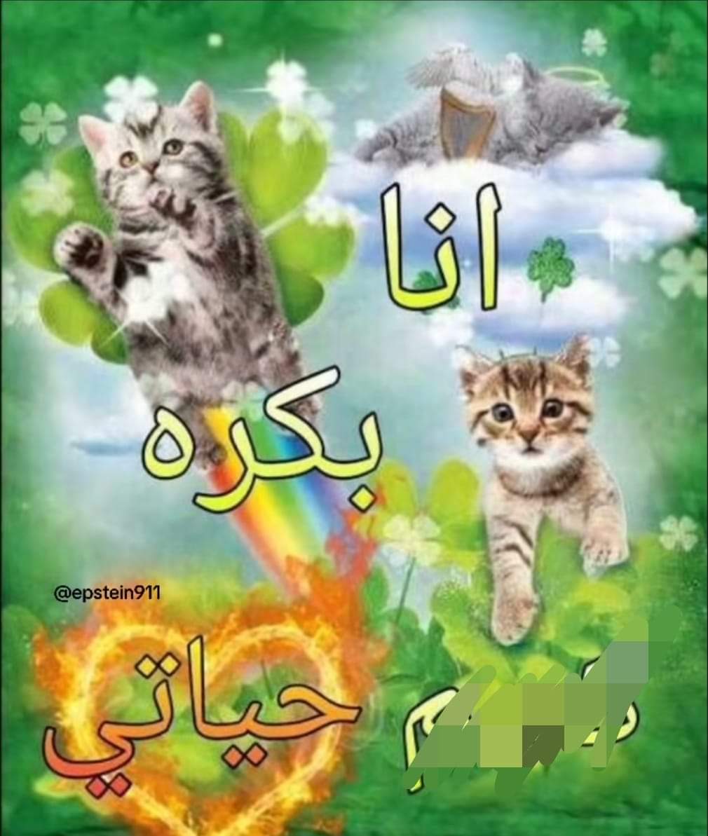 سايلر تويفت (@zagl0ula) on Twitter photo 