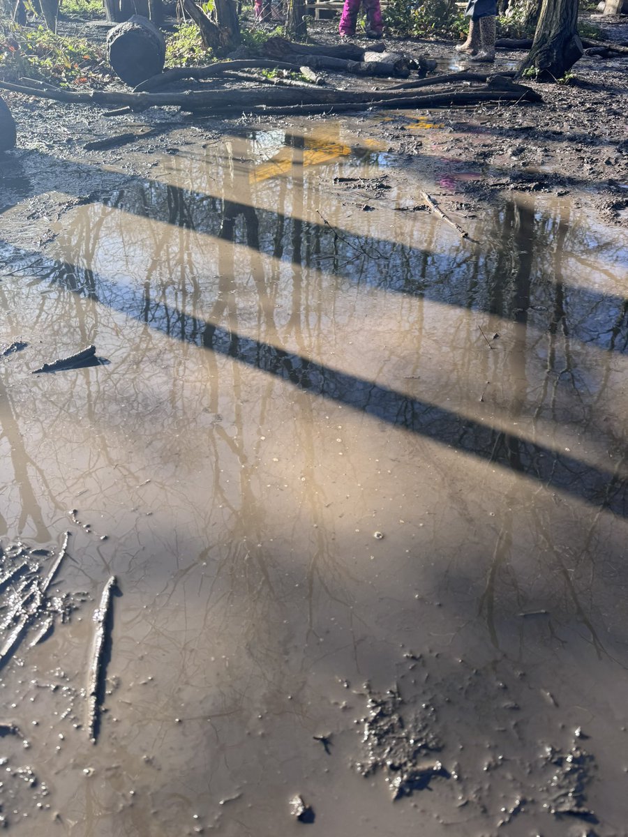 jason hardwick tweet media