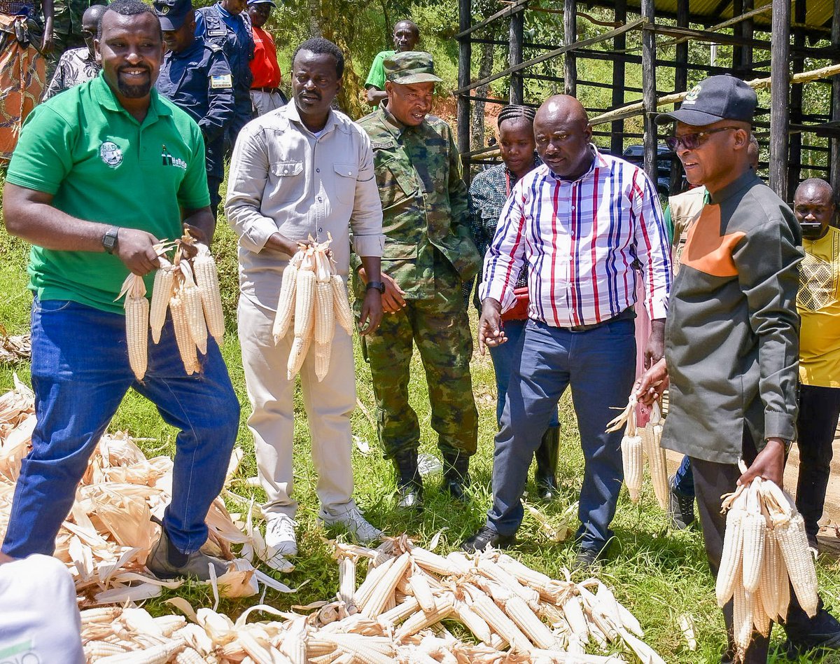 Ministry of Agriculture & Animal Resources |Rwanda tweet media