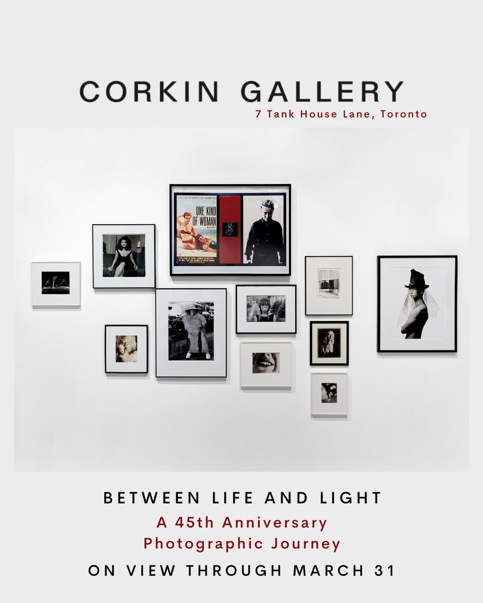 Corkin Gallery's 45th Anniversary exhibition, Between Life and Light, is on view now through March 31.

Visit Toronto's Distillery District to explore the intricacies of Between Life and Light today.

–

📸: Corkin Gallery

#GalleryArtToronto #DistilleryDistrict