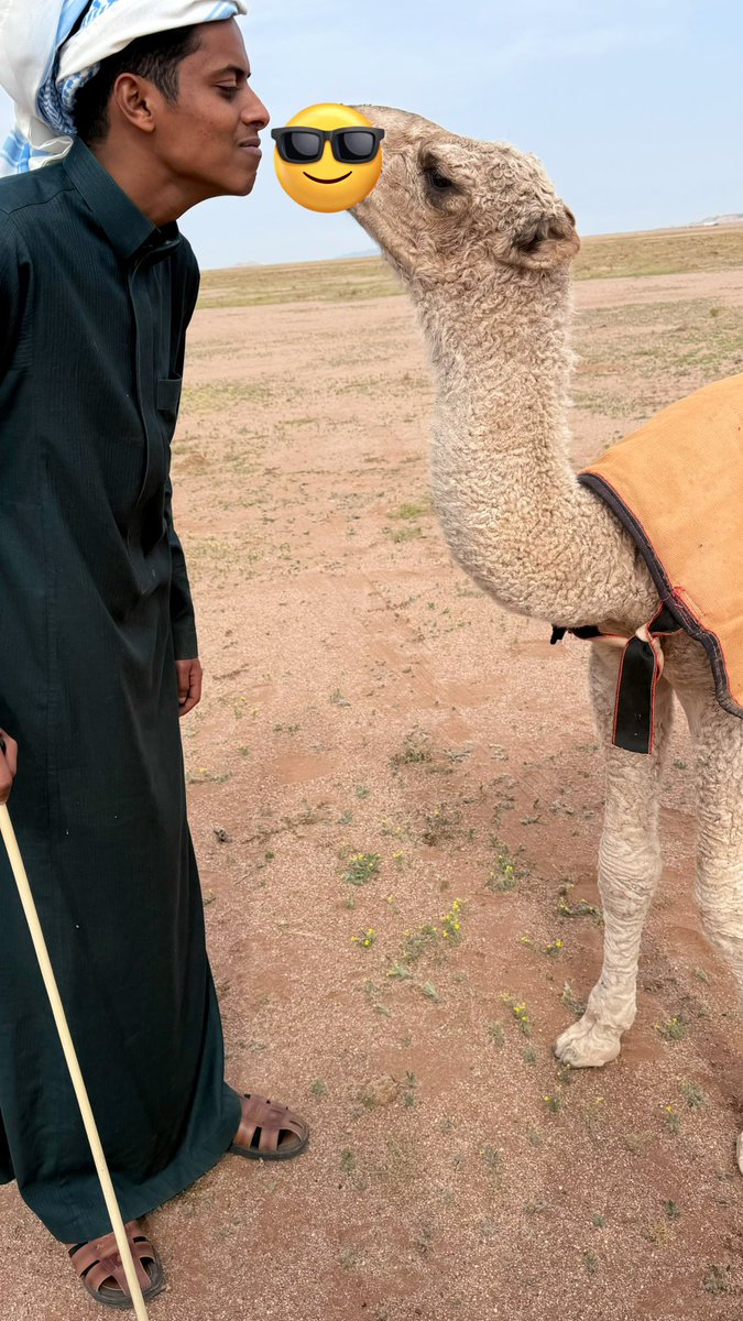 ماتصلح إلا مع أهلها 

أهلها بّدو