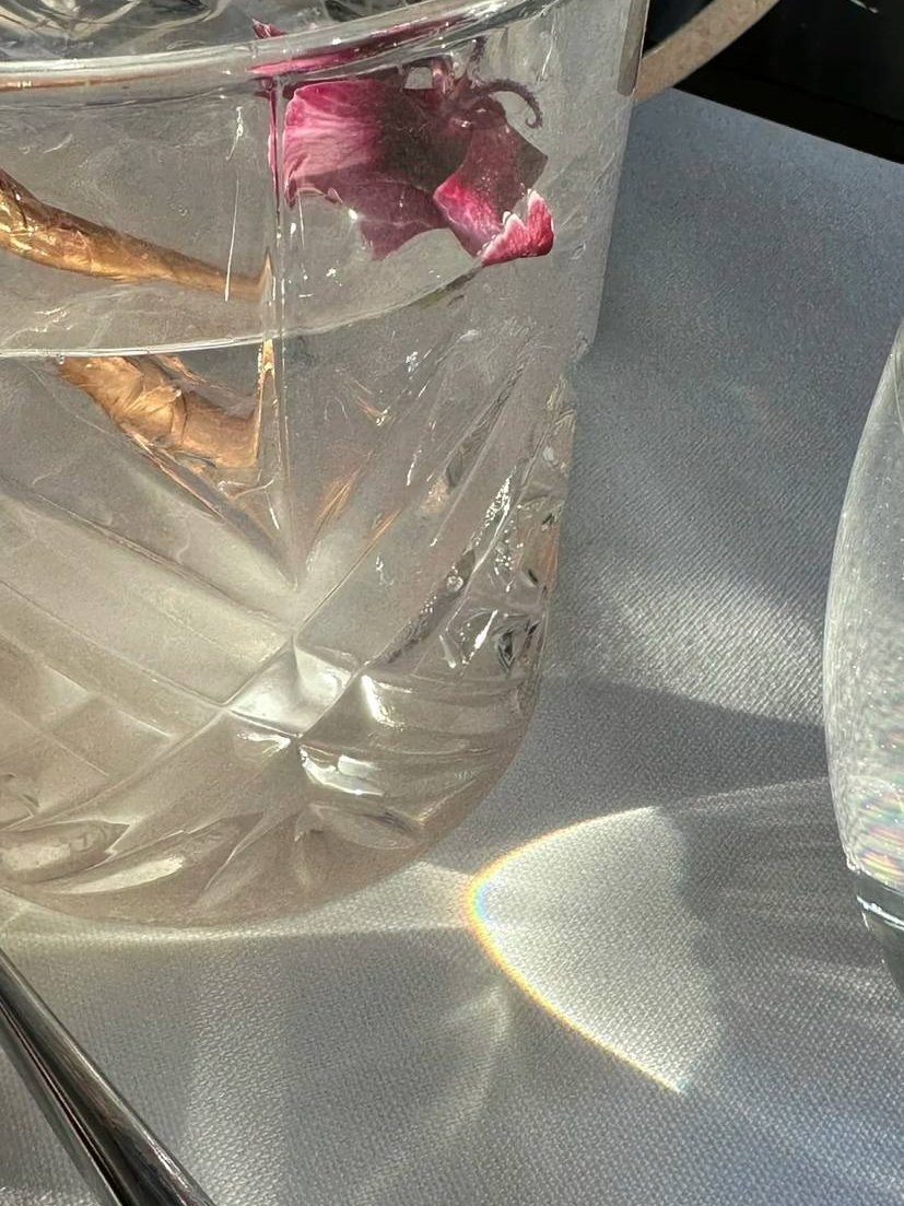 I spend a peaceful evening alone🌸
#AloneTogether