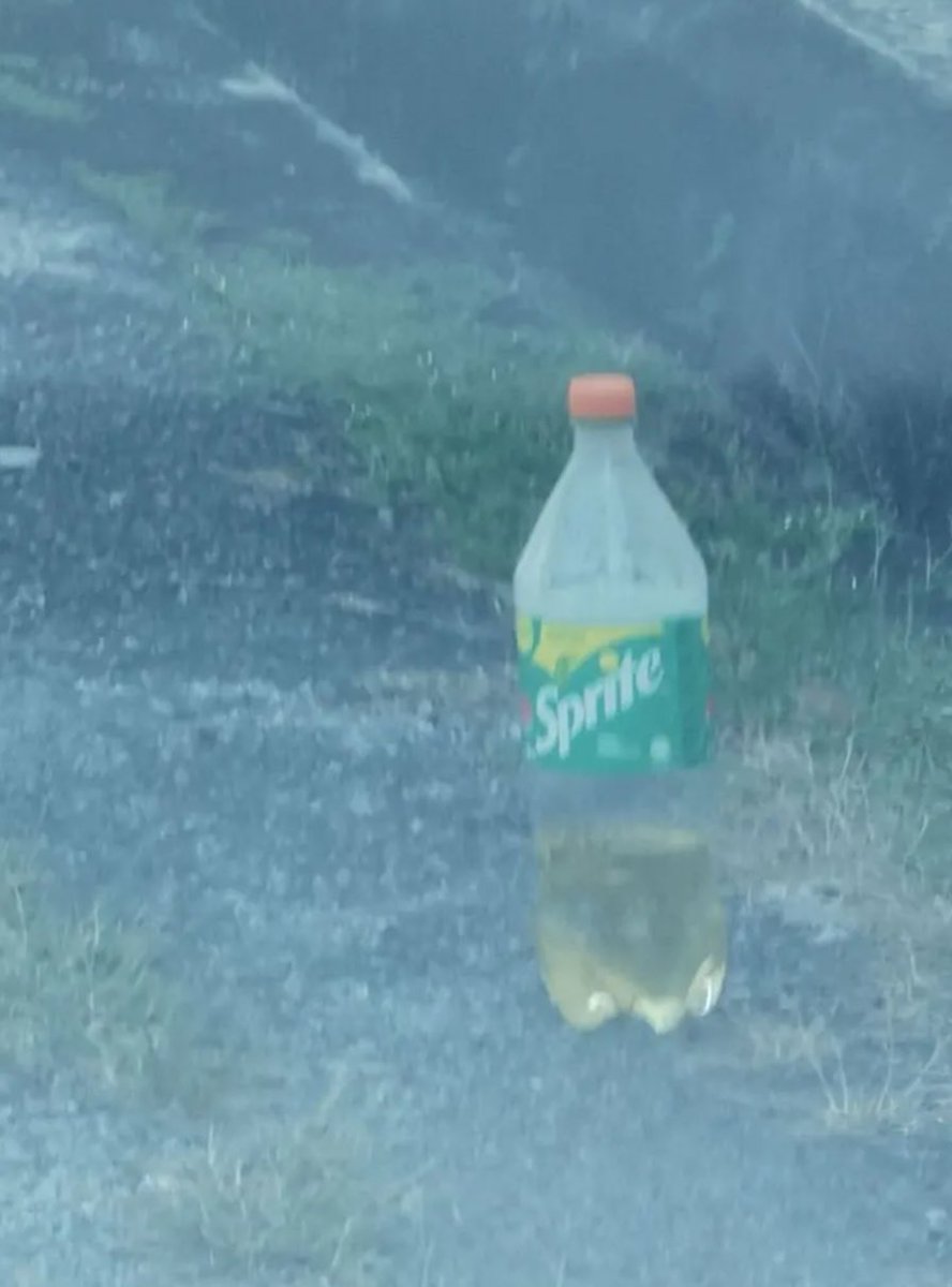 Piss in Bottle