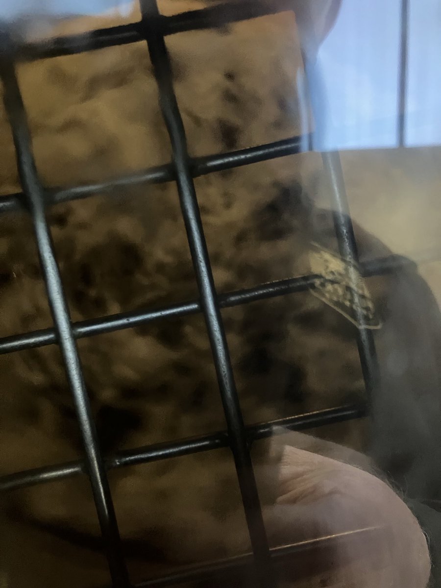 Guy Stewart (@fullersguy) on Twitter photo Hops waiting to go into this years #Vintage ale. The start of a long wait until release β¦<a href="/London_Pride/">Fuller's London Pride</a>β© β¦<a href="/FullersBrewery/">Fuller's Brewery</a>β© β¦<a href="/AsahiUKLtd/">Asahi UK</a>β© β¦@Fullersβ© Hops waiting to go into this years #Vintage ale. The start of a long wait until release β¦<a href="/London_Pride/">Fuller's London Pride</a>β© β¦<a href="/FullersBrewery/">Fuller's Brewery</a>β© β¦<a href="/AsahiUKLtd/">Asahi UK</a>β© β¦@Fullersβ©