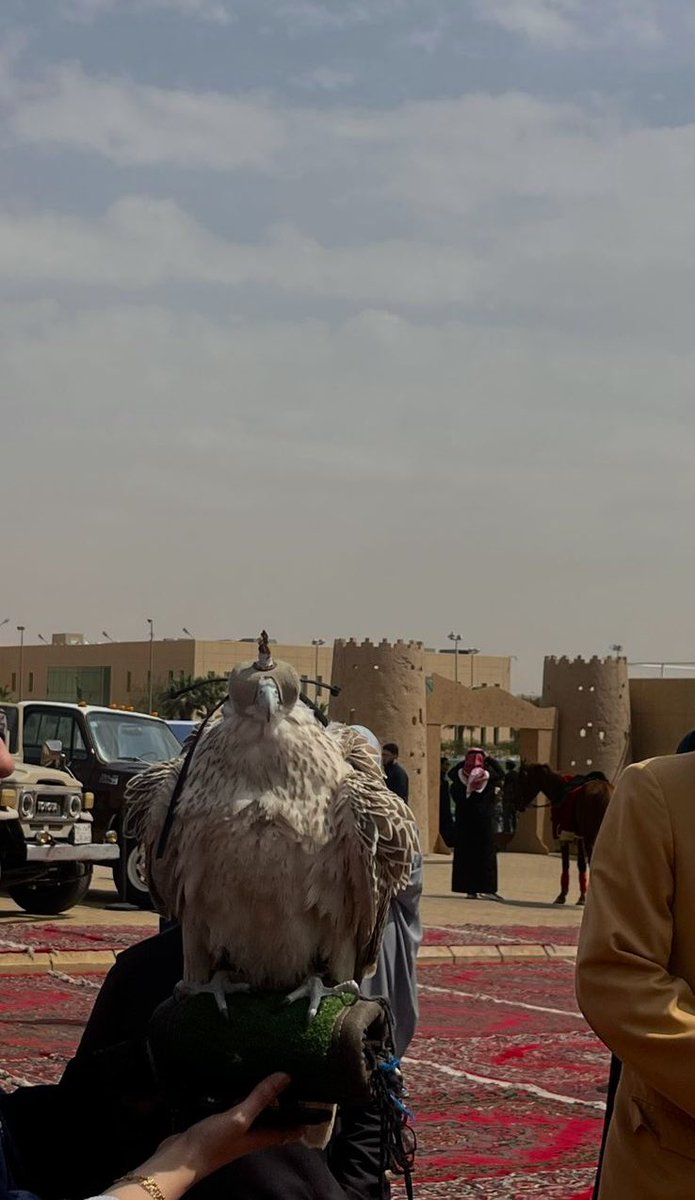 نادي القانون tweet media