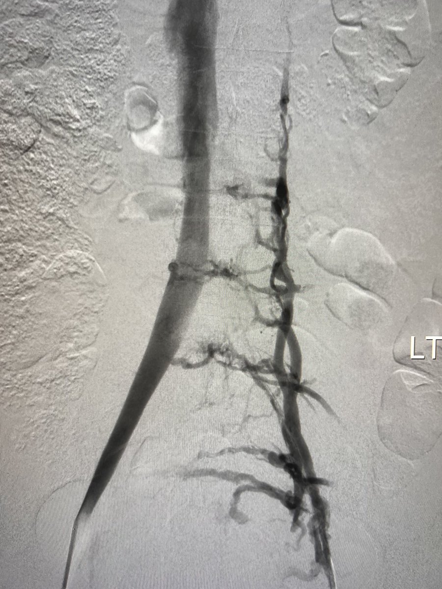 Harris Chengazi tweet media