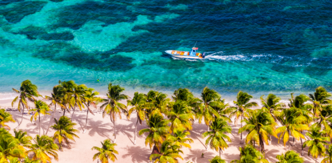 outremers360's tweet image. #Guadeloupe : Entre #attractivité et développement d'un #tourisme de qualité, le secteur touristique à la recherche d'un renouveau économique

➡️tinyurl.com/57v38cpu

➡️ La haute saison touristique 2024-2025 bat son plein actuellement en Guadeloupe mais la filière est marquée